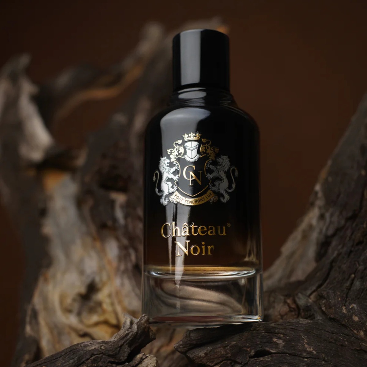 Paris Bleu Château Noir - 2