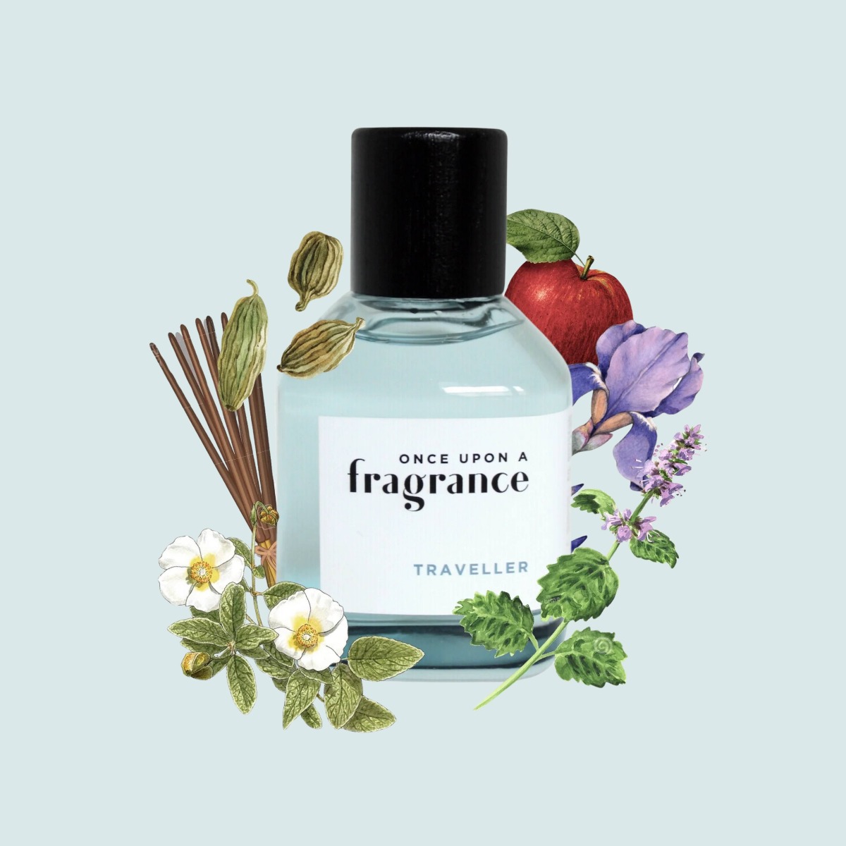 Once Upon a Fragrance Traveller EDT 100ml - 2