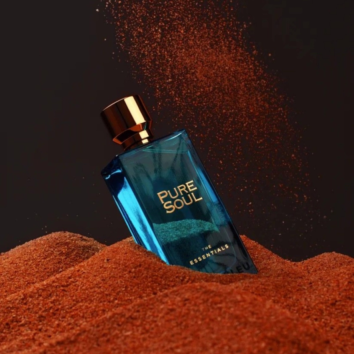 Paris Bleu Pure Soul EDP 100ml - 2