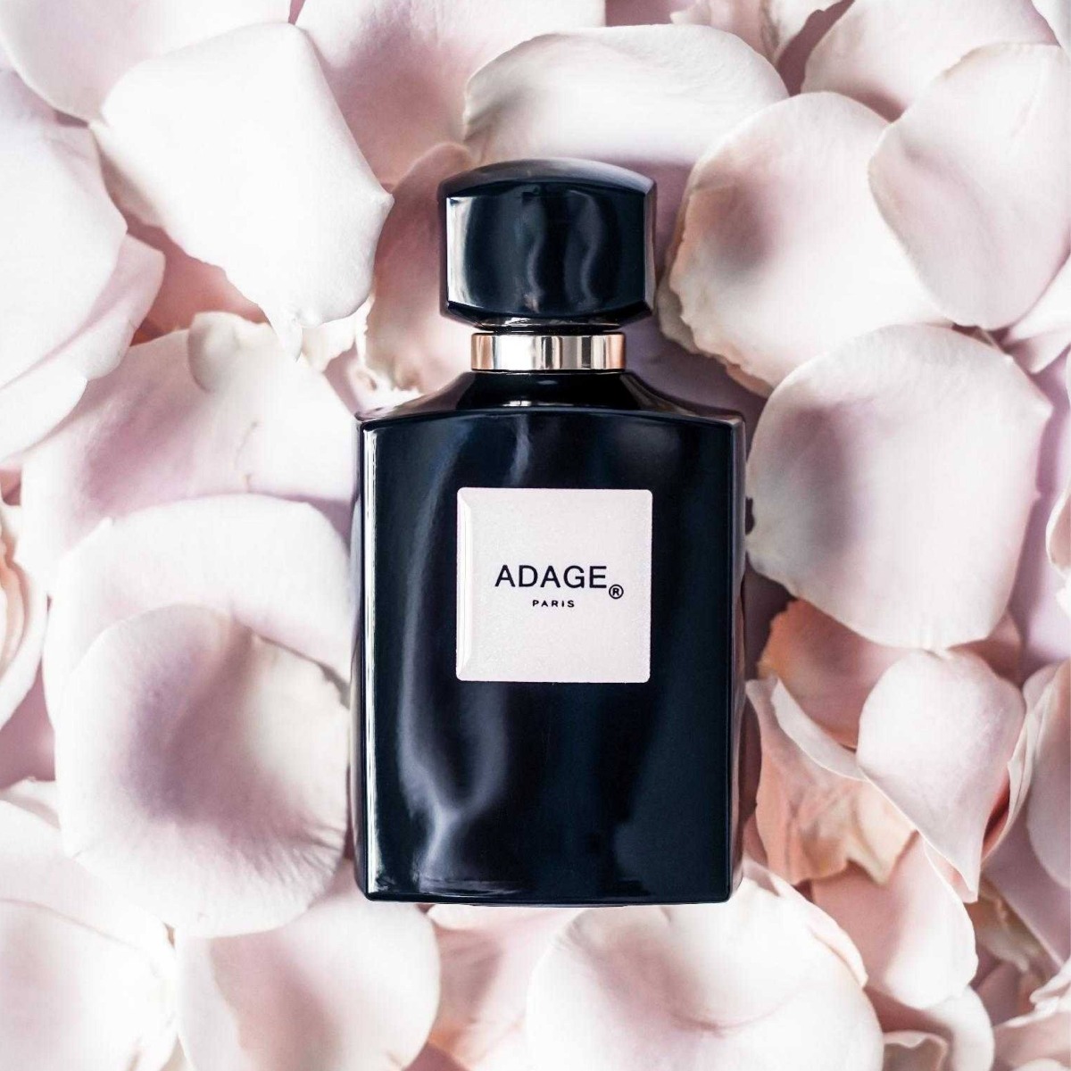 Sistelle Adage Blush EDP 90ml - 2