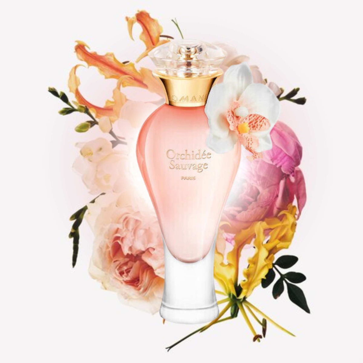 Sistelle Orchidee Sauvage Paris 100ml EDP - 3
