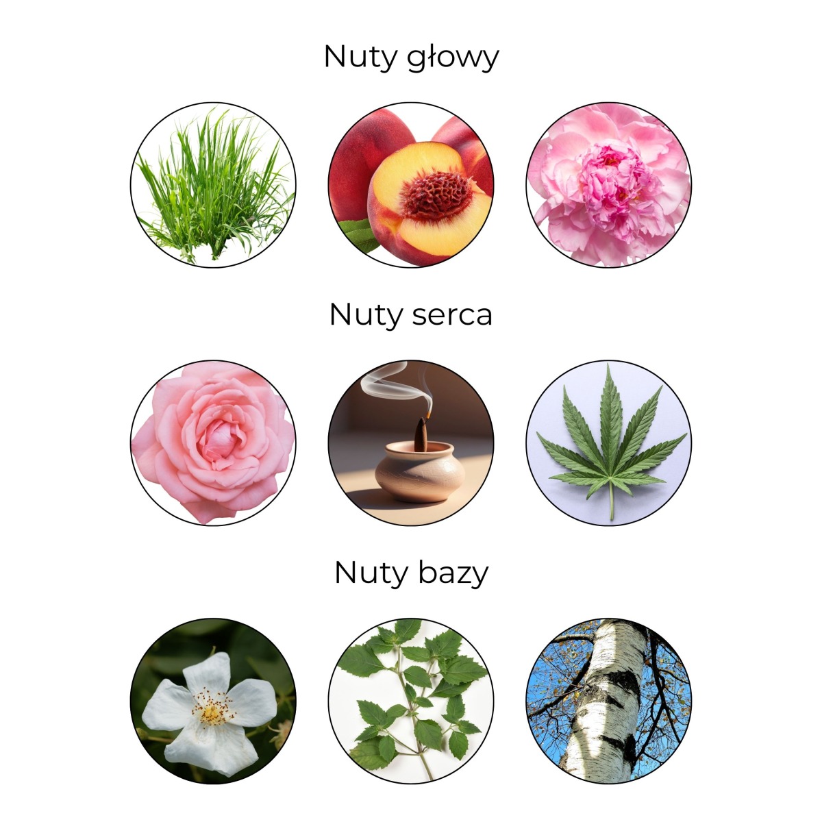 INDIA Perfumy damskie z nutą konopi 45 ml - 4